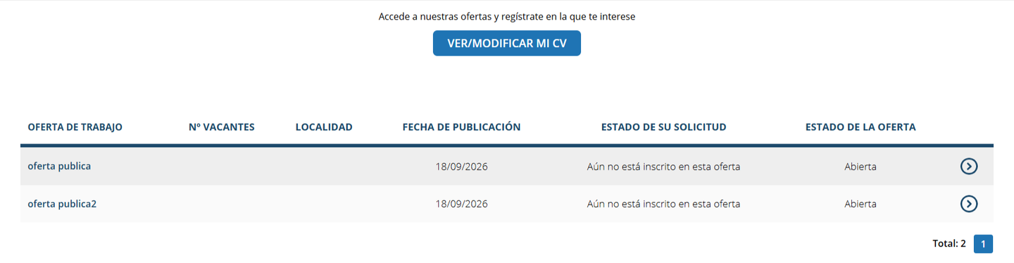 Zona privada del candidato